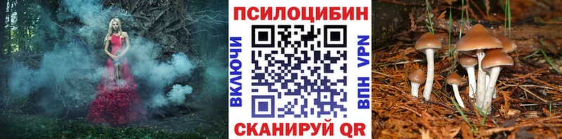 Псилоцибиновые грибы мухоморы  Купить  Удачный 